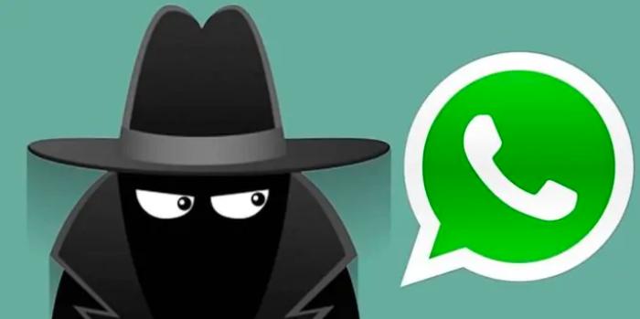 Clonaram meu whatsapp e agora : saiba o que fazer