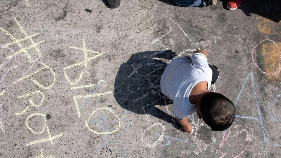 MP recorre de absolvição de ama ilegal de 15 crimes de maus-tratos