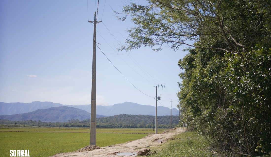 Ampliação da rede trifásica fortalece produção rural em Santa Catarina