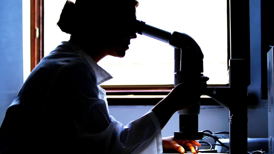 Moçambique reúne jovens investigadores para promover ciência africana