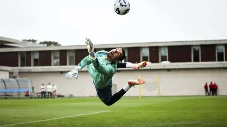Diogo Costa dispensado dos trabalhos da seleção. Ricardo Velho chamado