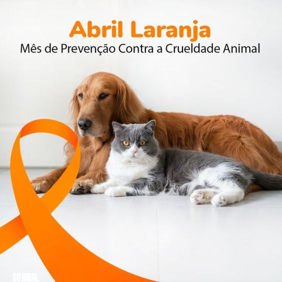 Abril Laranja SBS: conscientização contra a crueldade animal reforça a importância do bem-estar