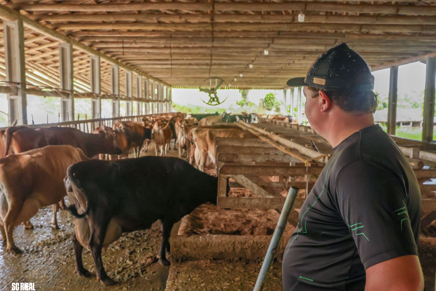 BRDE SC movimentou R$ 84 milhões por meio do Pronampe Leite em março