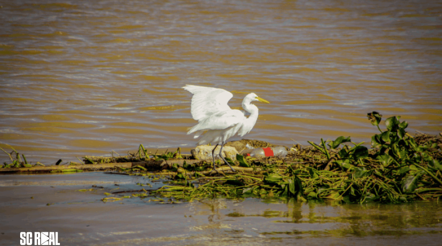 Navegantes abre 5ª edição da campanha Oceano sem Plástico