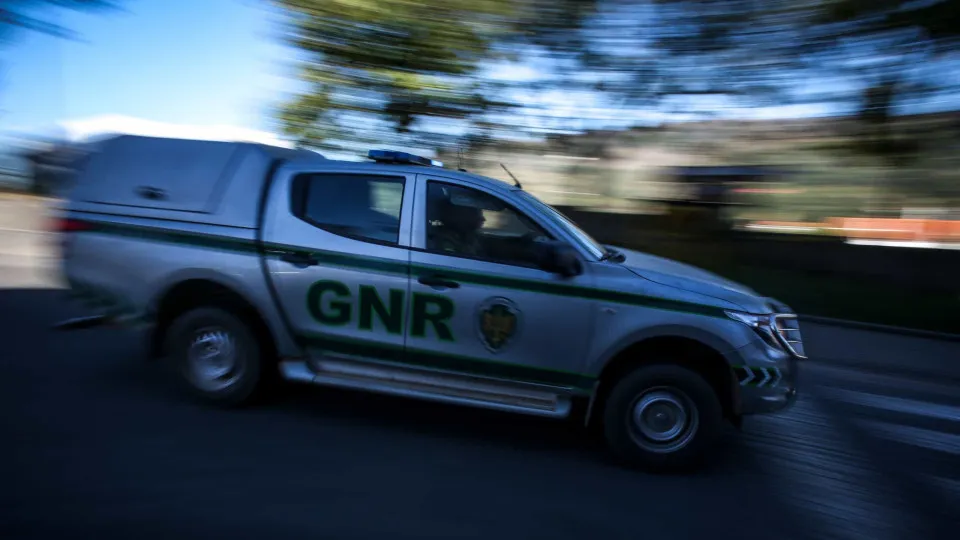 GNR deteta 11 infrações em explorações pecuárias de Pinhel