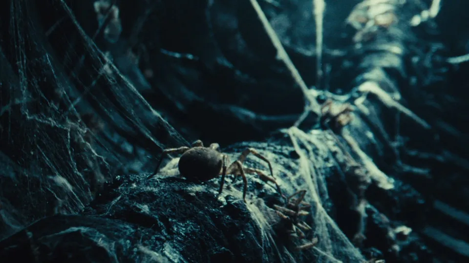 Curta-metragem "Atom &amp; Void" vence 4.ª edição dos Prémios Curtas