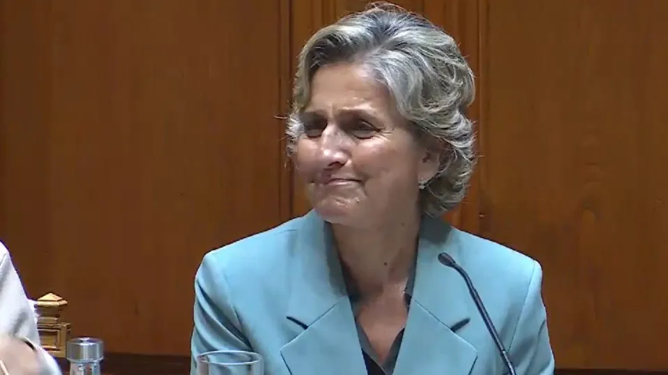 Ana Abrunhosa? "Escrutínio não é 'agenda política'", reage CCPJ