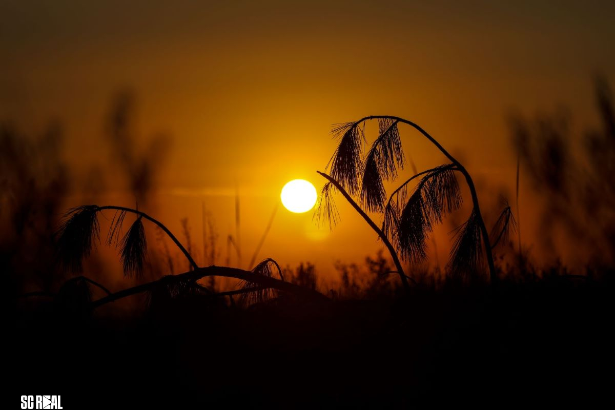 Santa Catarina tem semana de sol antes da chegada de frente fria e virada no tempo
