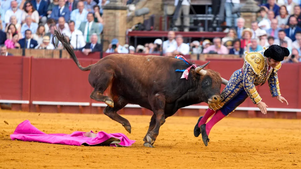 Toureiro famoso na Espanha é gravemente ferido por touro em Sevilha; veja