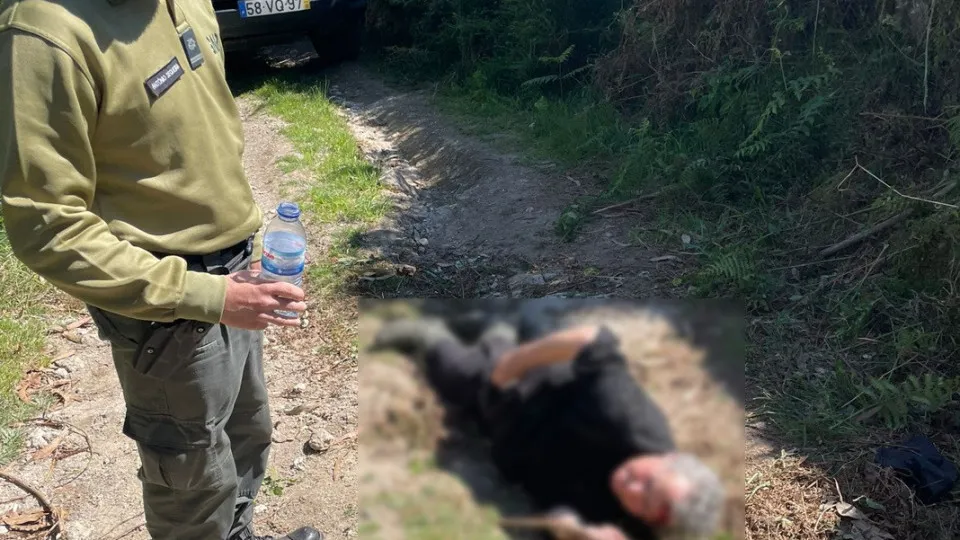 Idosa encontrada em Braga após "queda grave" em zona florestal remota