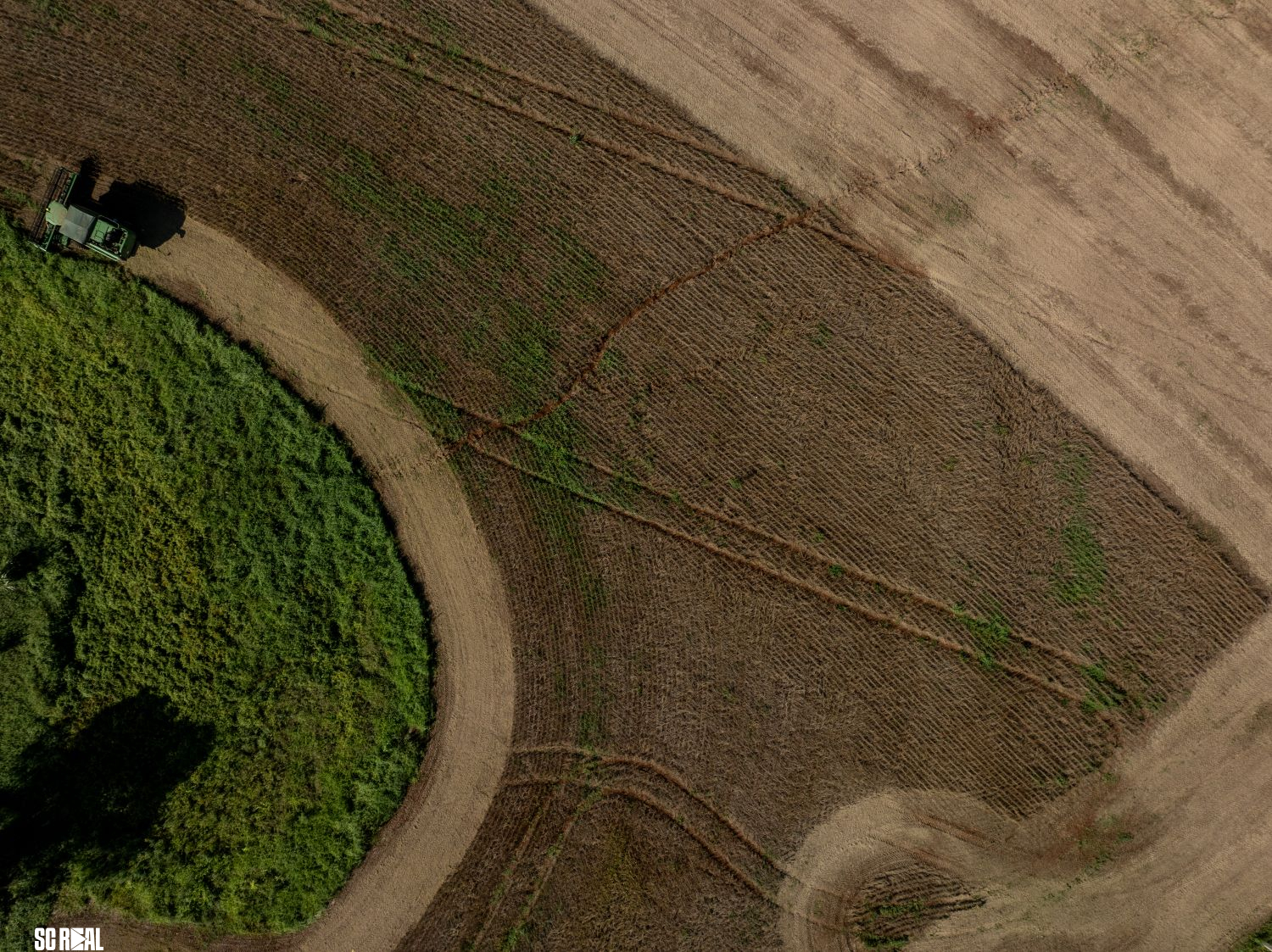 Valor de Produção Agropecuária catarinense cresce 15% e atinge R$ 74,9 bilhões em 2025