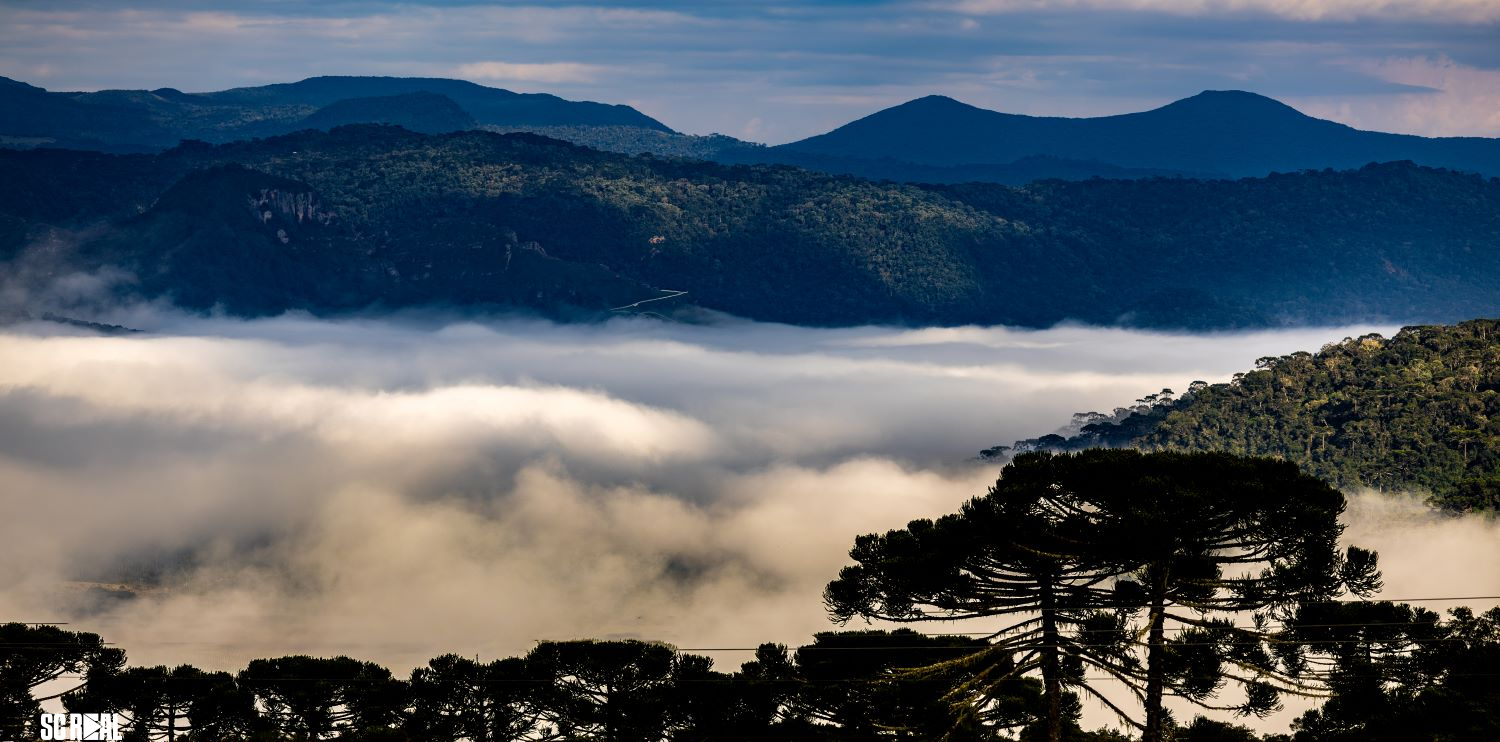 Dia das Mães terá frio intenso e geada em Santa Catarina com avanço de massa de ar polar