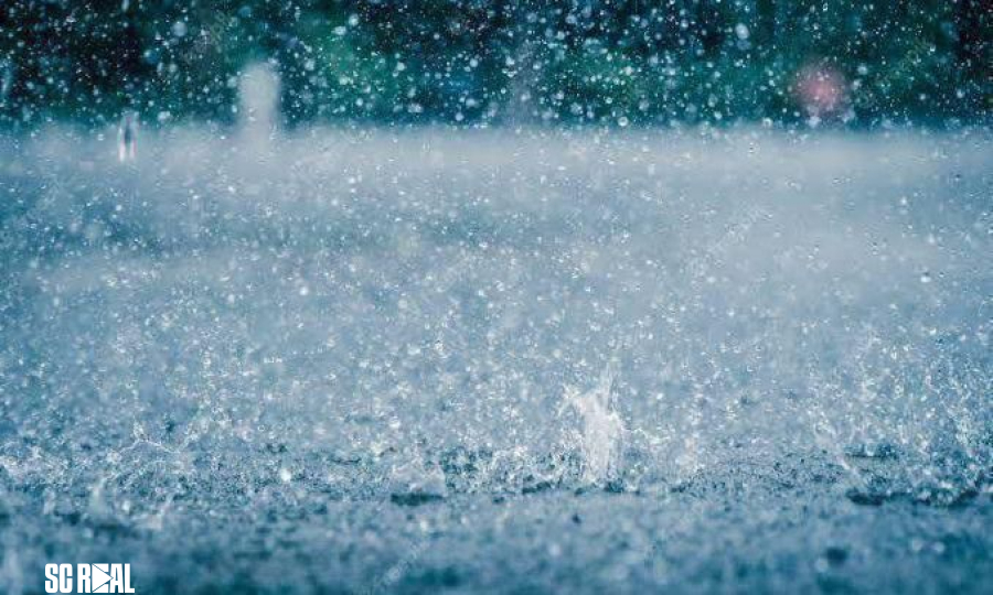 Comissão da Alesc debate impactos do El Niño e preparação de SC para eventos climáticos extremos 