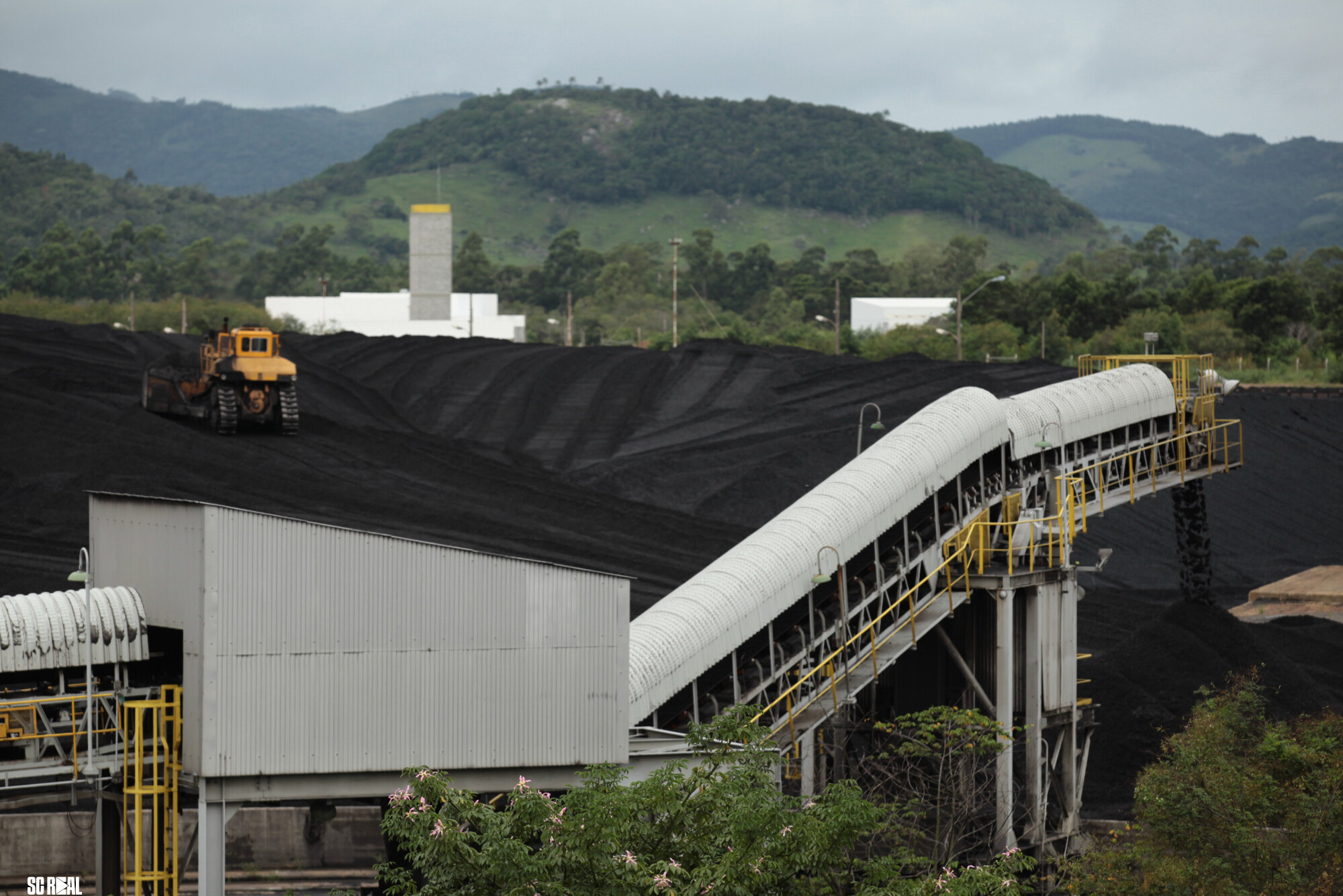 SC lidera debate sobre Transição Energética Justa e amplia participação social na elaboração do plano