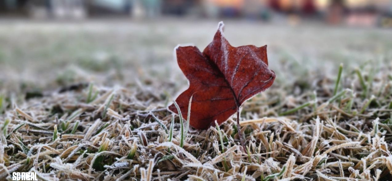 Frio intenso chega a Santa Catarina nesta quinta-feira com mínimas de -5°C