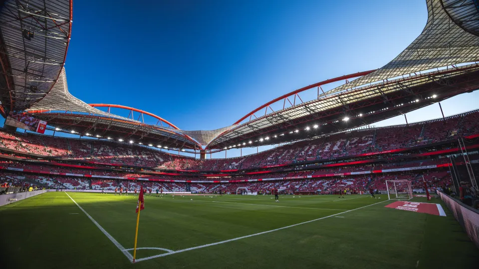 Treinador do Benfica? CMVM não revela como atua "em casos concretos"