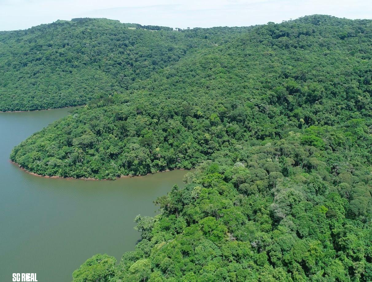 No Junho Verde, Governo do Estado destaca projetos e ações que impulsionam o desenvolvimento sustentável de Santa Catarina