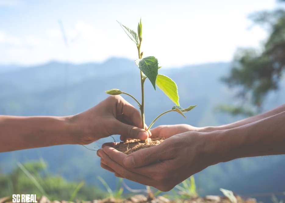 Conscientização sobre meio ambiente é tema de requerimento de vereadores mirins de Jaraguá do Sul 