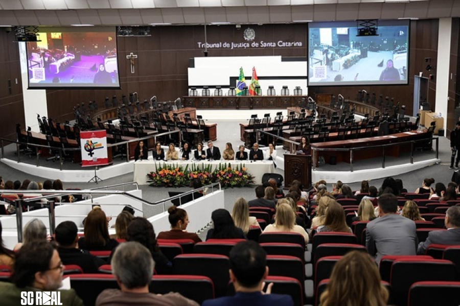 Seminário marca reflexão sobre os 20 anos da Lei Maria da Penha e o combate à violência contra a mulher