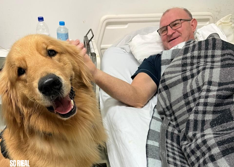 Popô, o cão terapeuta, que melhora o dia dos pacientes do Hospital Regional de Joinville 