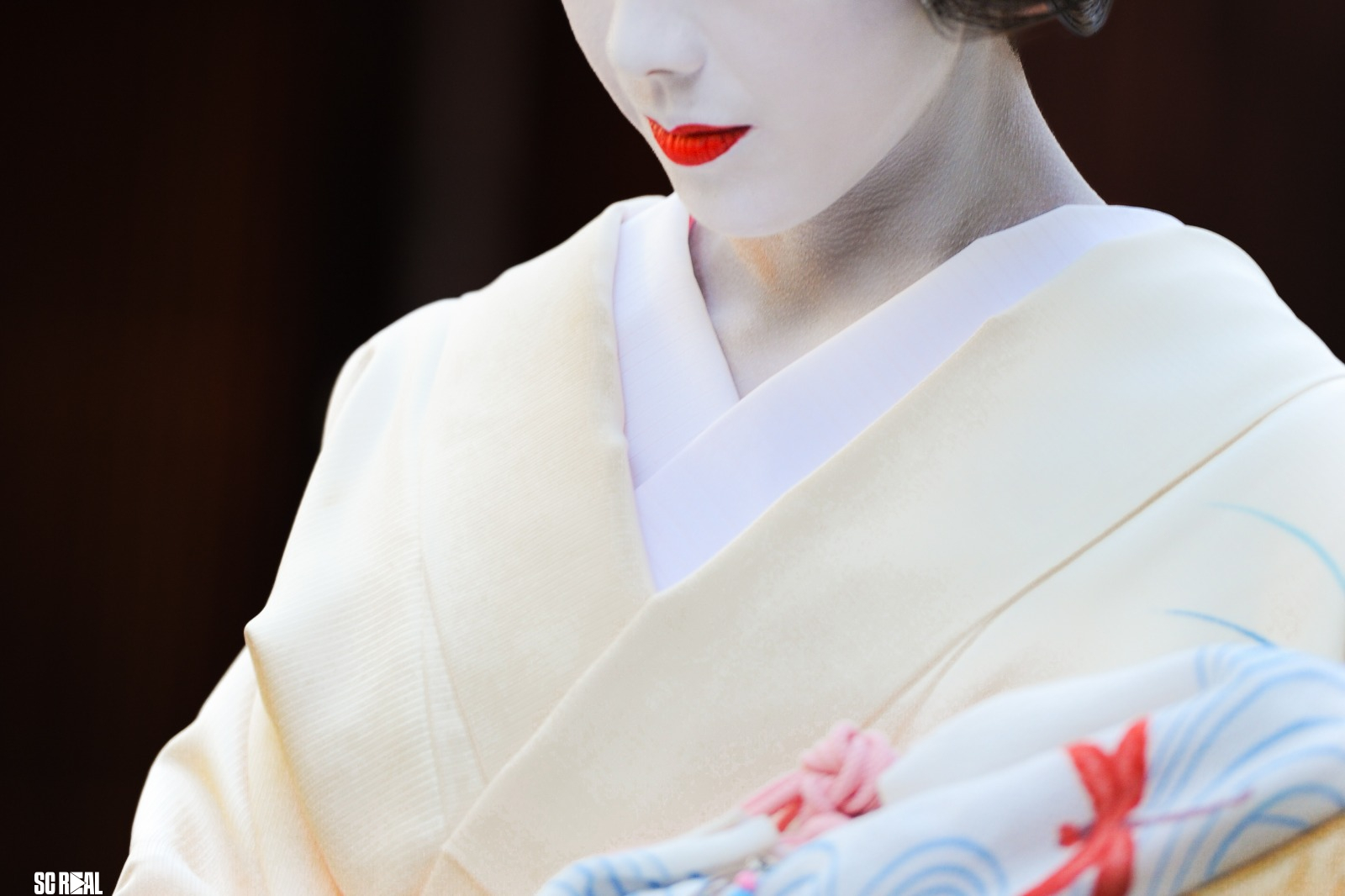 Exposição “Mundo Gion” convida a um mergulho poético em Kyoto